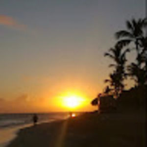 Meet your Posher, Aya